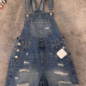 Altar'd State Denim Overalls
